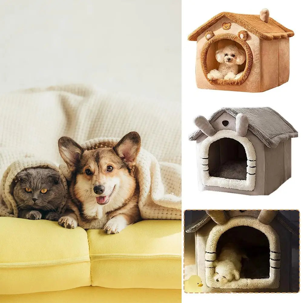 Pet Warm House Cat And Dog 😻🏠🐶