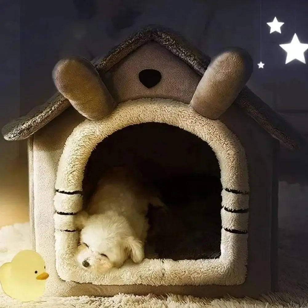 Pet Warm House Cat And Dog 😻🏠🐶