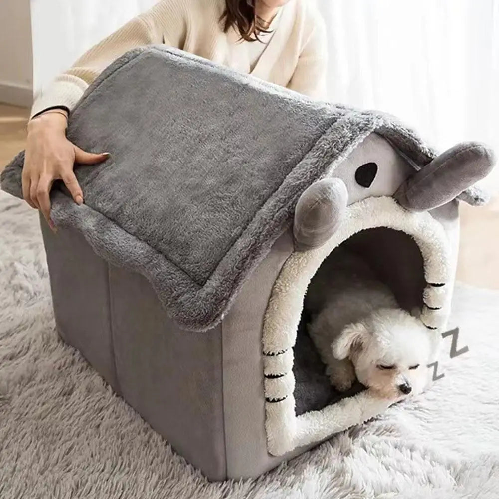 Pet Warm House Cat And Dog 😻🏠🐶